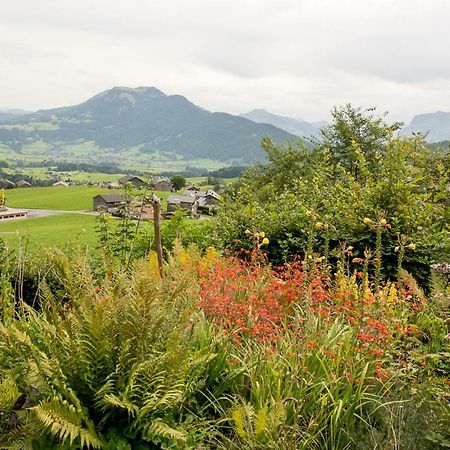 Ferienhaus Bergblick 施瓦岑贝格 外观 照片